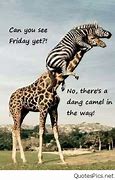Image result for Hump Day Wednesday Pics