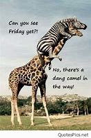 Image result for Happy Hump Day Quotes