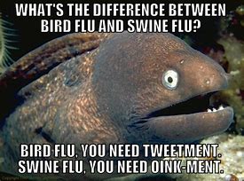 Image result for Funny Bird Flu