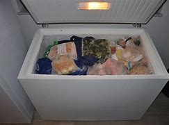 Image result for 3.5 Cubic Feet Freezer