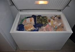 Image result for Target Stores Chest Freezer