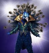 Image result for Masked Singer Season 1 Contestants