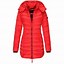 Image result for Hooded Puffer Jacket