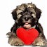 Image result for Happy Valentine Day Dog Graphics