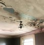 Image result for Mold On Ceilings In-House