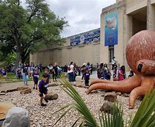 Image result for Dallas Children's Aquarium