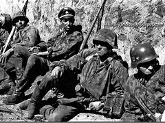 Image result for Waffen SS Combat Kursk