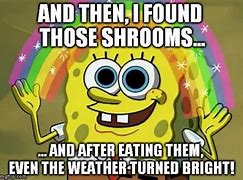 Image result for Shroom Memes