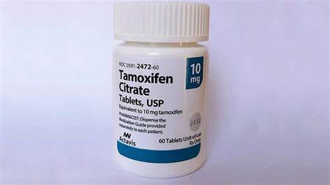 Testo absetzen mit clomifen und tamoxifen