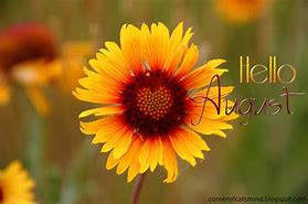 Image result for Hello August Flowers