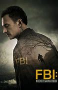 Image result for FBI Most Wanted TV Episodes