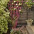 Image result for Garden Ideas for Small Spaces