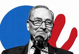 Image result for Chuck Schumer Pics