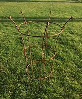 Image result for Plant Supports for Garden Rusty
