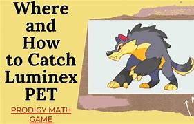 Image result for Prodigy Math Game Luminex