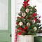 Image result for Home Depot Christmas Decorations Outside