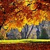 Image result for Fall Wallpaper for iPad
