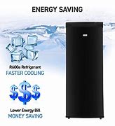 Image result for Commercial Stand Up Freezers