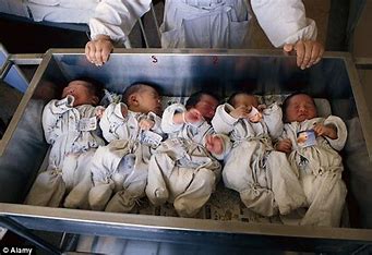 Image result for trafficking of babies
