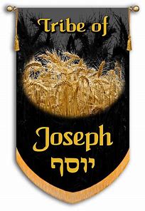 Image result for Joseph 12 Tribes Israel Banners