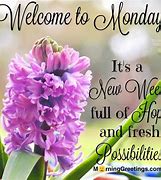 Image result for Monday Morning Quotes