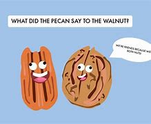 Image result for Food Jokes and Puns