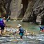 Image result for The Narrows Zion National Park Tour
