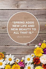 Image result for Spring Quotes. Short Flowers