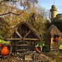 Image result for Pumpkin Festivsal