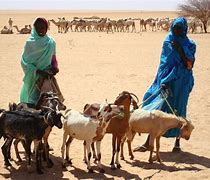 Image result for Darfur People