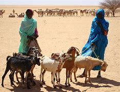 Image result for Darfur Genocide Memorial