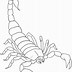 Image result for Cool Scorpion Drawings Color