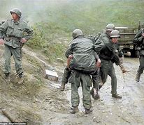 Image result for Chinese Casualties Korean War