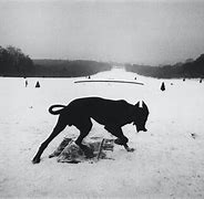 Image result for Josef Koudelka Photos