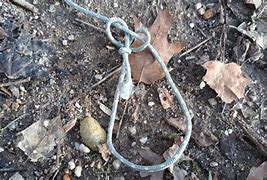 Image result for Homemade Snare Trap