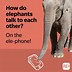 Image result for Elephant Jokes