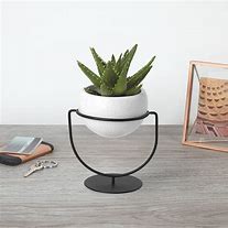 Image result for Contemporary Indoor Planters