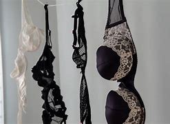 Image result for Hang Dry Bras
