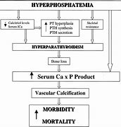Image result for Calcium Phosphate Product