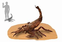 Image result for Giant Prehistoric Scorpion