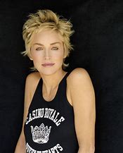Image result for Sharon Stone Haircut Cutting Diagram