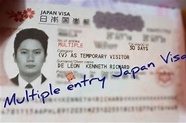 Image result for Japan Visa
