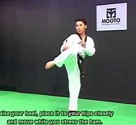 Image result for Different Taekwondo Kicks
