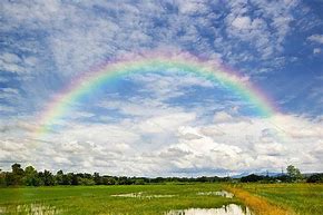 Image result for Rainbow Sky Colors