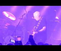 Image result for David Gilmour Ginger