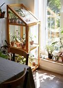 Image result for Indoor Greenhouse Kits