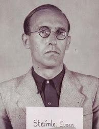 Image result for Nuremberg Trials Book