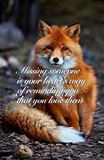 Image result for Fox Animal Quotes