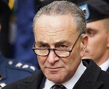 Image result for Chuck Schumer Hair Plugs