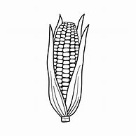 Image result for Corn Outline
